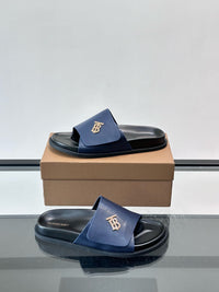 TB Logo Slide