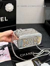 Metallic Vanity Case