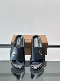 TB Logo Slide