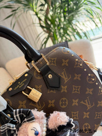Speedy 25 Trunk Bag