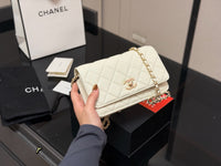 Wallet on Chain Bag