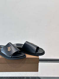 TB Logo Slide