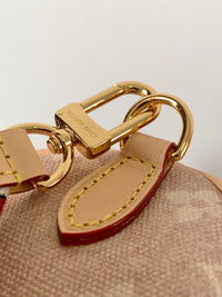 Grace Coddington Speedy Bandoulière 20