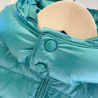 Hooded Puffer Vest
