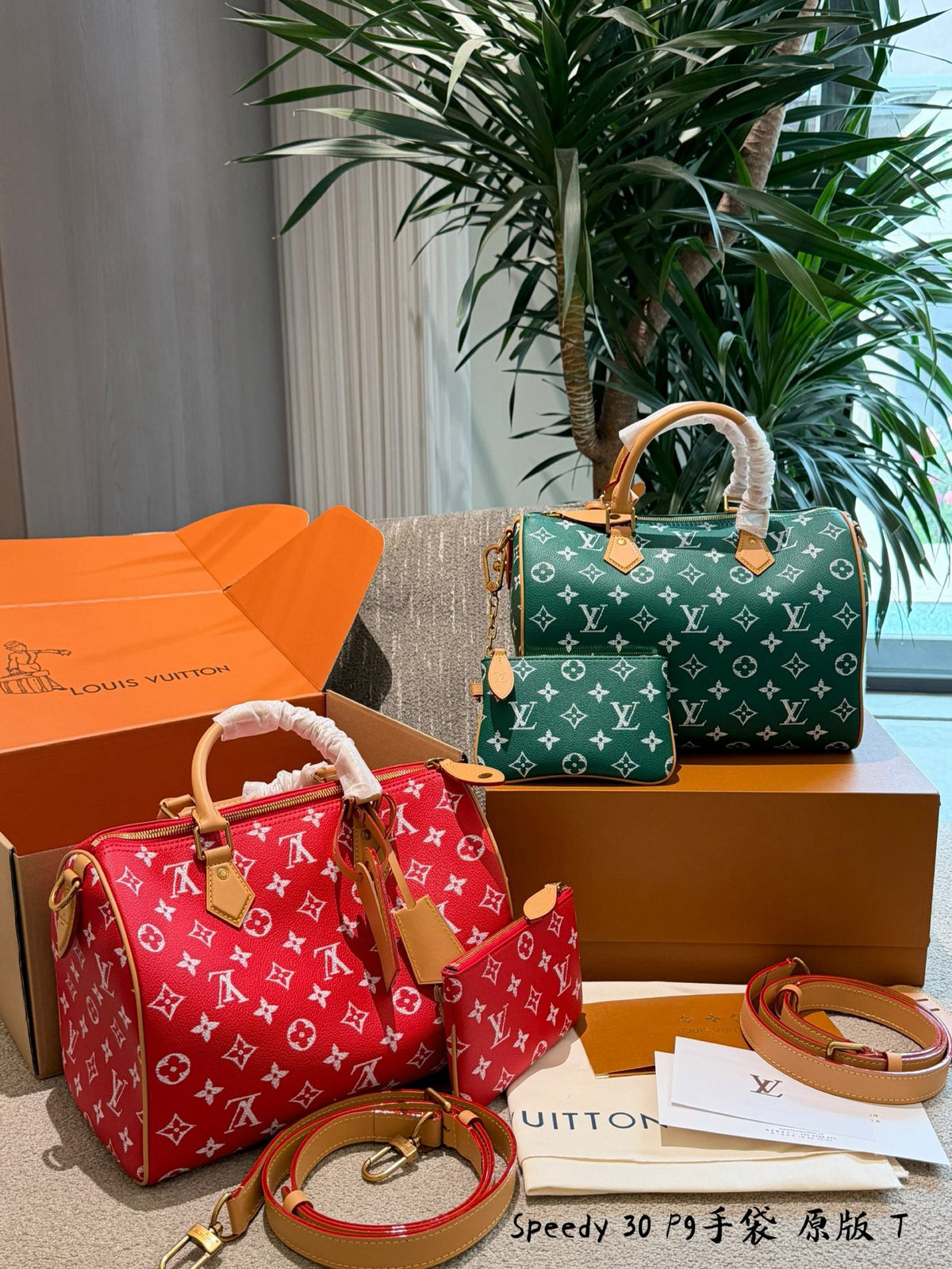 Speedy P9 Bandoulière 30 Bag