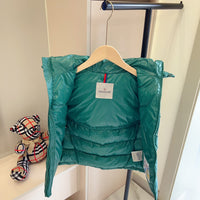 Hooded Puffer Vest