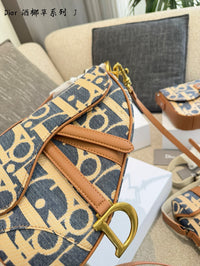 Oblique Saddle Bag
