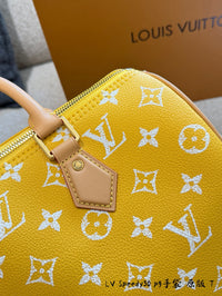 Speedy P9 Bandoulière 30 Bag