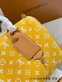Speedy P9 Bandoulière 30 Bag