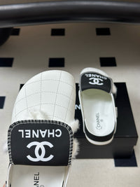 26S Logo Mules