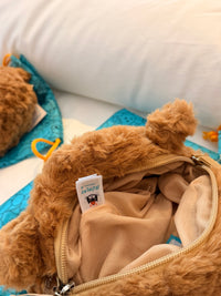 Bartholomew Bear Bag