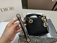Mini Ostrich Bag