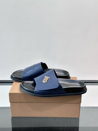 TB Logo Slide