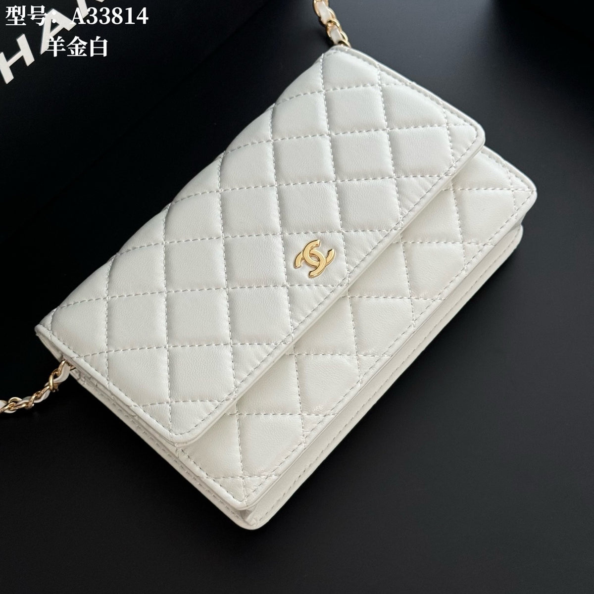 Wallet On Chain