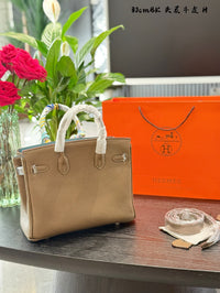 Birkin 30