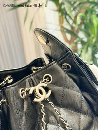 Mini Hobo Bag