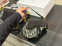 Oblique Saddle Bag