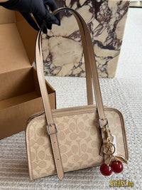 Swing Zip Bag 20