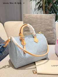 Speedy 30 in Ostrich Embossed Leather