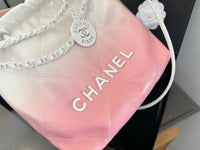 22 Mini Bag