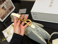 Oblique Saddle Bag