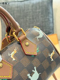 Speedy Bandoulière 18 x The Darjeeling Limited Bag