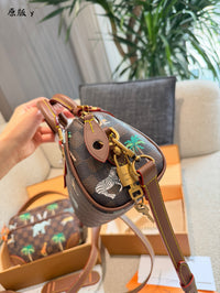 Speedy Bandoulière 18 x The Darjeeling Limited Bag