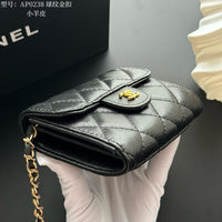 Classic Mini Chain Wallet