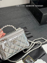 Metallic Vanity Case