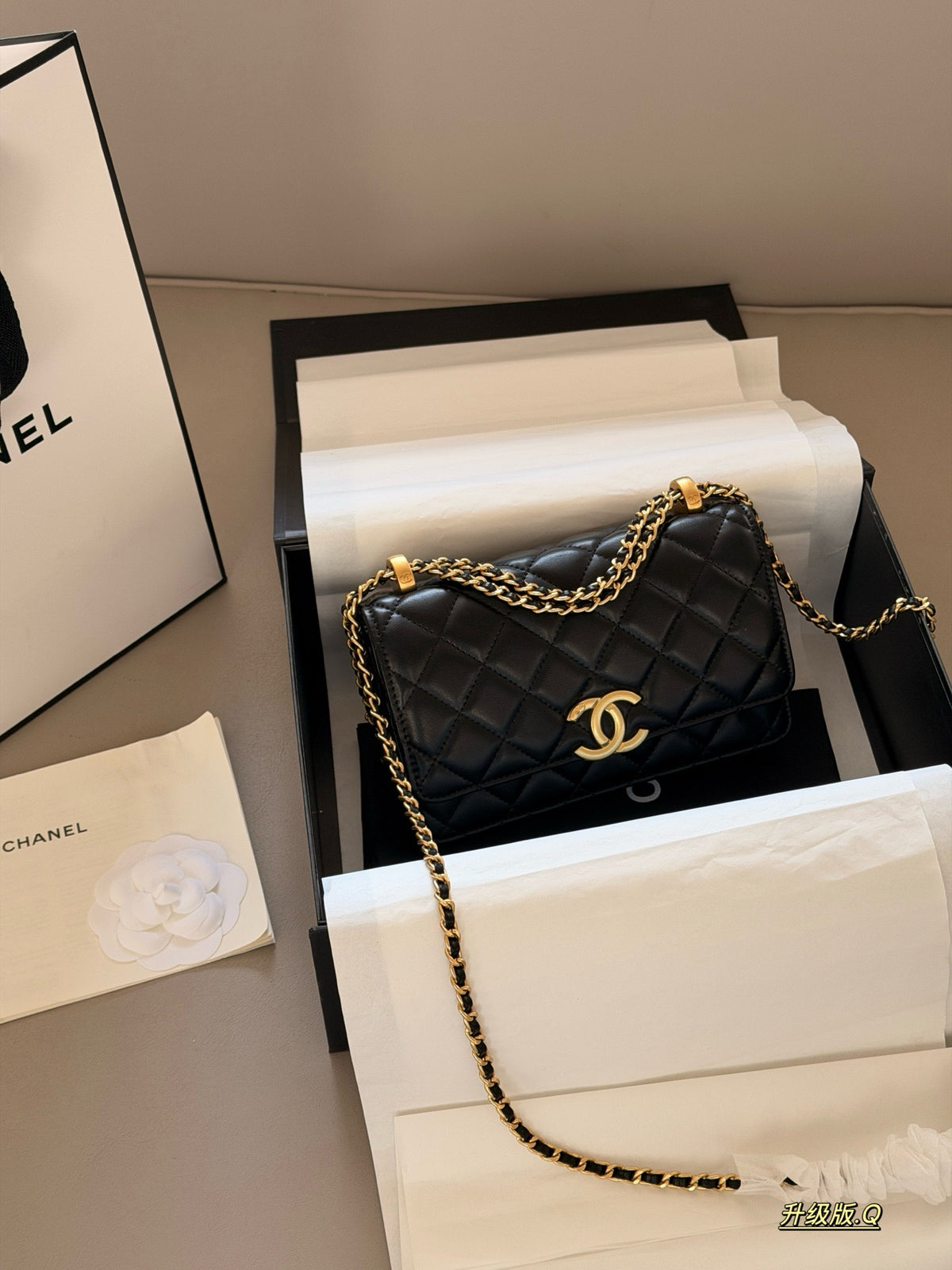 Wallet on Chain Gold Ball