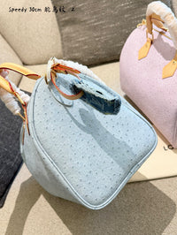 Speedy 30 in Ostrich Embossed Leather