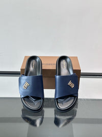 TB Logo Slide