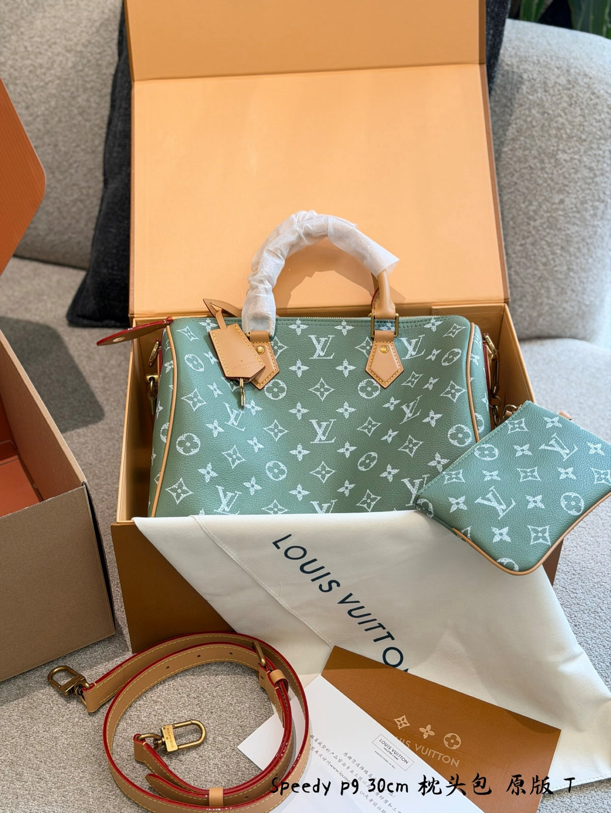 Speedy P9 Bandoulière 30 Bag