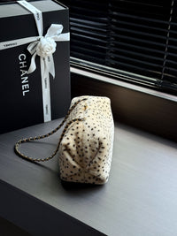 26A Pony Hair Clutch with Chain