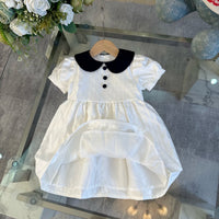 Jacquard Peter Pan Collar Dress