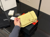 Wallet on Chain Bag