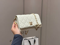 Wallet on Chain Bag