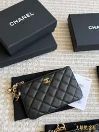 Small Zipped Pouch