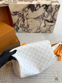 Cruise 2027 Collection Bag