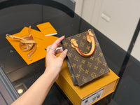 Petit Sac Plat Bag