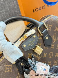 Speedy 25 Trunk Bag