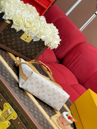 Multipass Bag