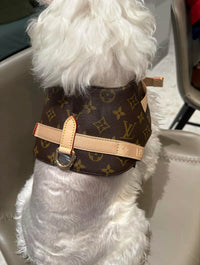 Monogram Pet Harness