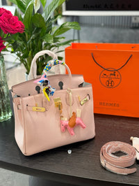 Birkin 30