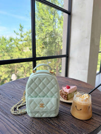 25P Mini Backpack