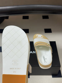 26S Logo Mules