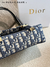 Oblique Embroidered Messenger