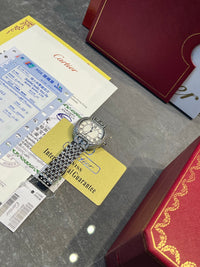 Panthère Watch
